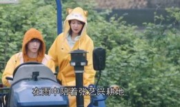 老穆最新爆料视频播放,事件背后惊人真相